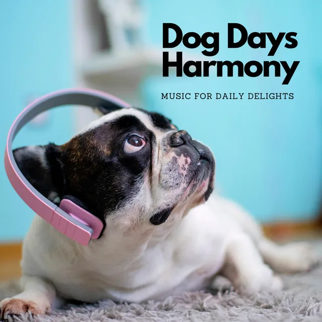 Dog Days Harmony: Music For Daily Delights