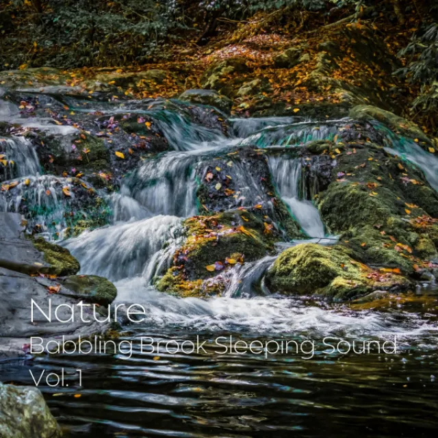 Brook Stream of Calm