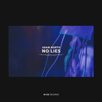 No Lies by Adam North