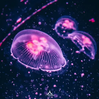 Deep Sea by Jelly The Fish