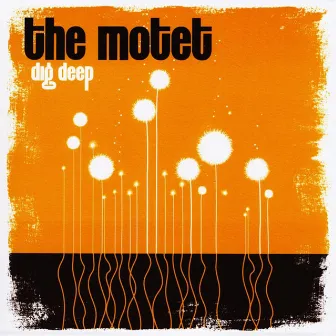 Dig Deep by The Motet