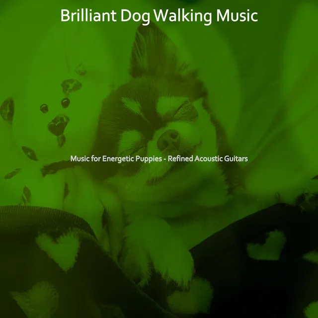 Music for Energetic Puppies - Refined Acoustic Guitars