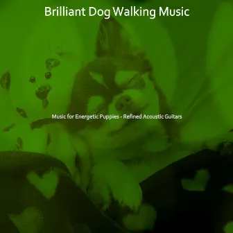 Music for Energetic Puppies - Refined Acoustic Guitars by 