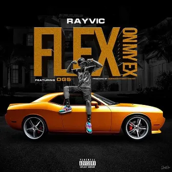 Flex on My Ex by Ray Vic