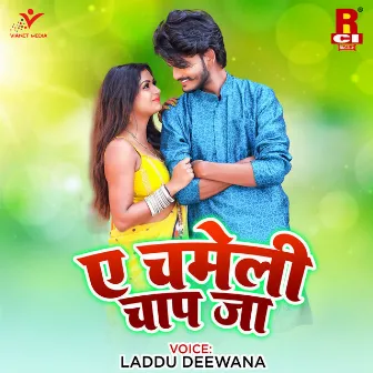 Ae Chameli Chaap Jaa by Laddu Deewana