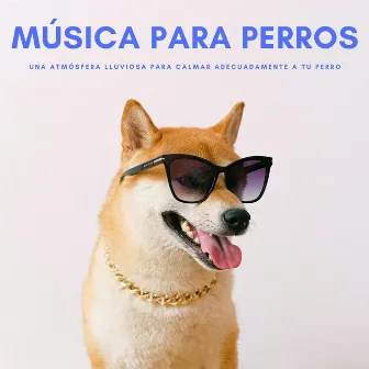 Música Para Perros: Una Atmósfera Lluviosa Para Calmar Adecuadamente A Tu Perro by Musica para Dormir Momentos