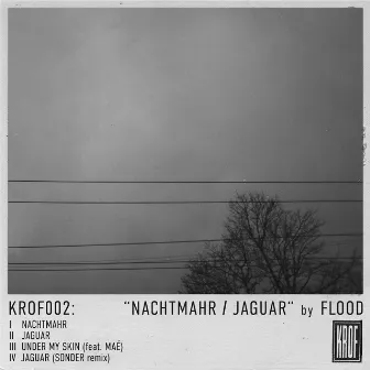 Nachtmahr / Jaguar by Flood