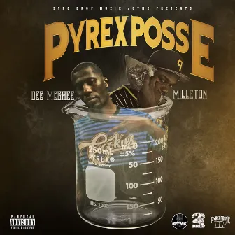 Pyrex Posse by Dee Mc Ghee