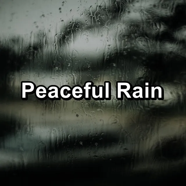 Peaceful Rain