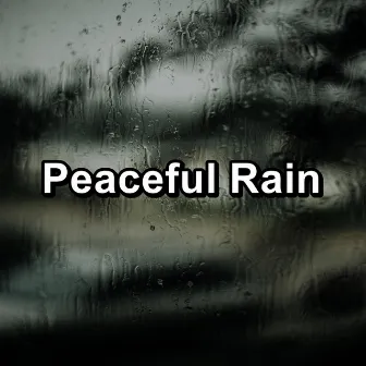 Peaceful Rain by Rain for Sleeping