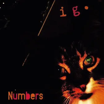 Numbers by IG