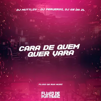 Cara de Quem Quer Vara by DJ GS DA ZL