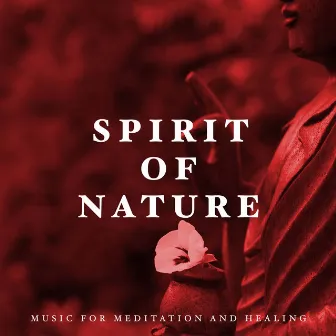 Spirit of Nature - Ideal Music for Meditation and Healing by Unknown Artist