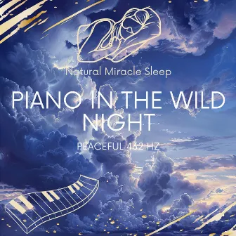 Peaceful 432 Hz Piano in the Wild Night by 