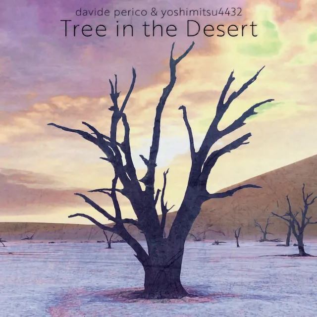 Tree in the Desert