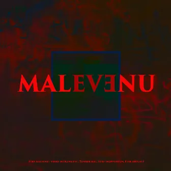 Malvenu by H13NRV