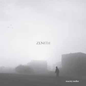 Zenith by Maciej Meller