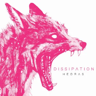 Dissipation by Hedras