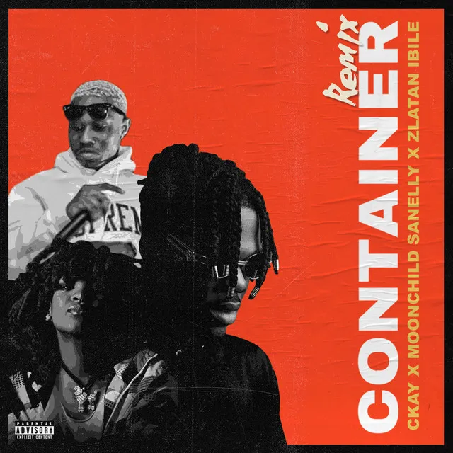 Container (feat. Moonchild Sanelly and Zlatan Ibile) - Remix