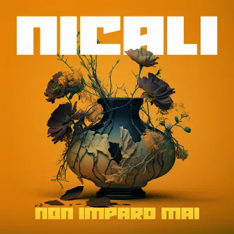 NON IMPARO MAI by NICALI