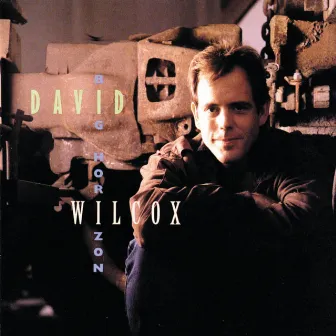 Big Horizon by David Wilcox