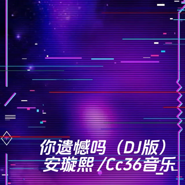 你遗憾吗 (DJ版)