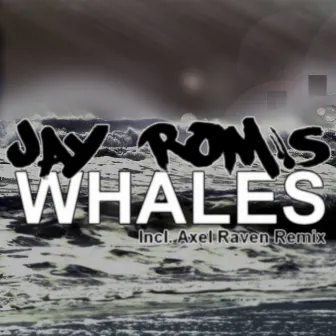 Whales by Jay Rom's