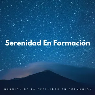 Canción De La Serenidad En Formación by Serenidad Música Relajación