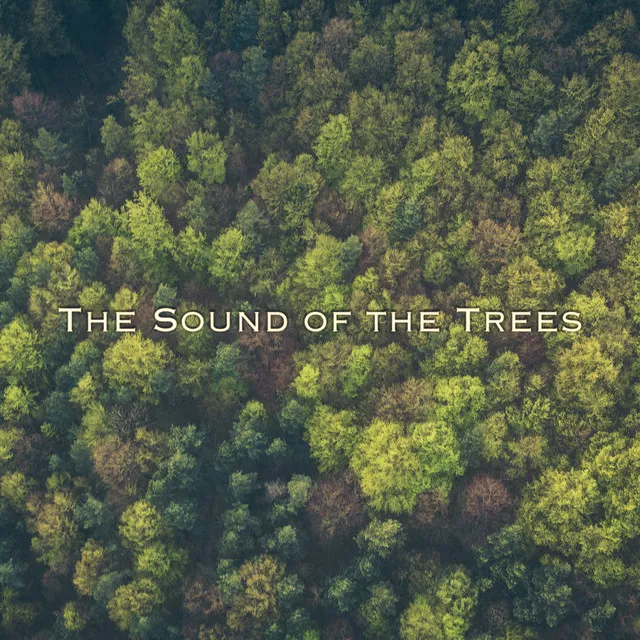 The Sound of the Trees