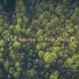 The Sound of the Trees by Andriano