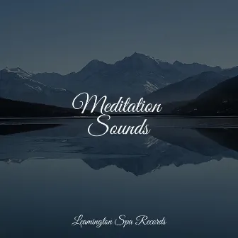 Meditation Sounds by Sleep Tight