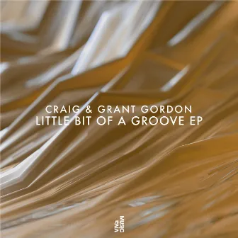 Little Bit Of A Groove EP by Craig & Grant Gordon