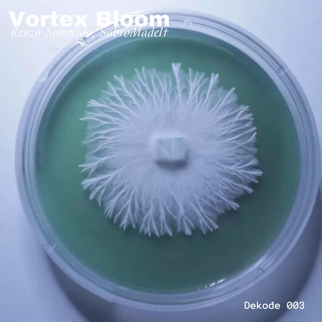 Vortex Bloom