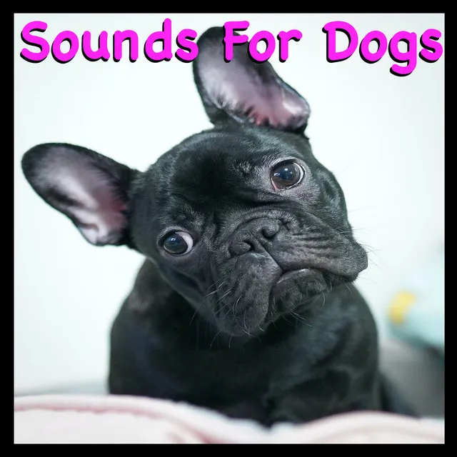 Sounds For Dogs