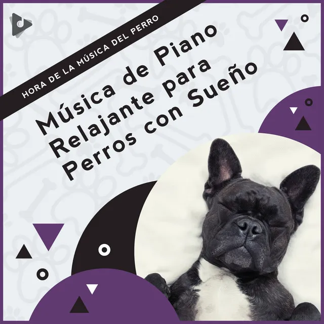 Los mejores sonidos para perros