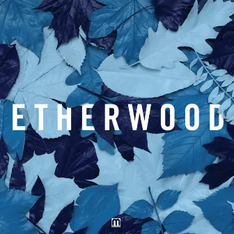 Blue Leaves by Etherwood