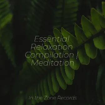 Essential Relaxation Compilation | Meditation by Música a Relajarse