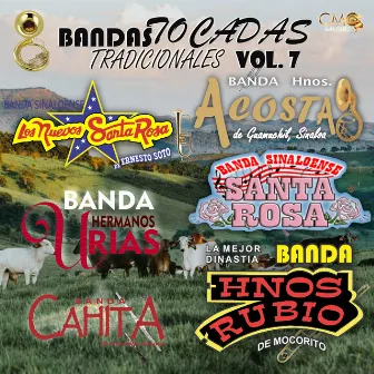 Bandas Tocadas Tradicionales Vol. 7 by Banda Hermanos Acosta