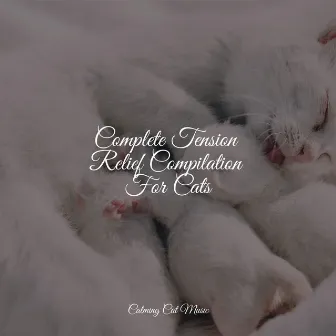 Complete Tension Relief Compilation For Cats by Music for Cats Peace