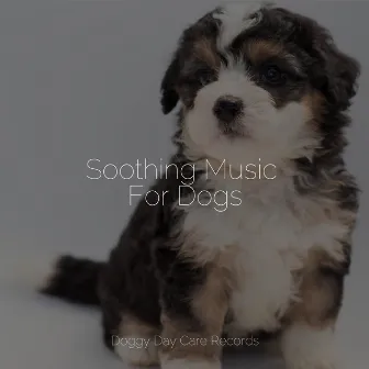 Soothing Music For Dogs by Sleep Music For Dogs