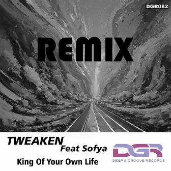 King of Your Own Life (Remix) by Tweaken