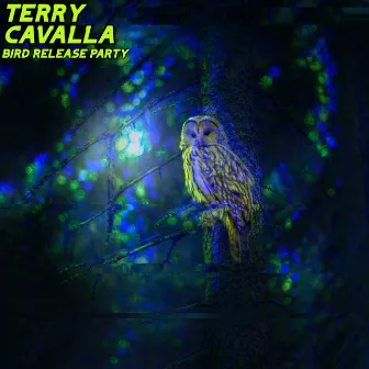 Bird Release Party (DJ Mix) by Terry Cavalla