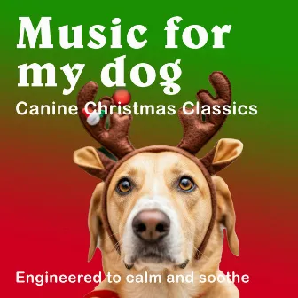 Canine Christmas Carol by Music For My Dog