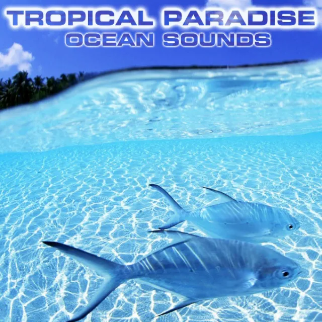 Soothing Paradise Ocean Sound - Ocean Waves Sounds FX Remix