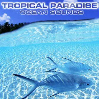 Tropical Paradise Ocean Sounds by Nature Sounds FX