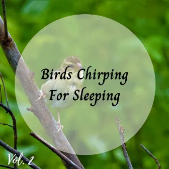 Birds Chirping For Sleeping Vol. 2 by microhope