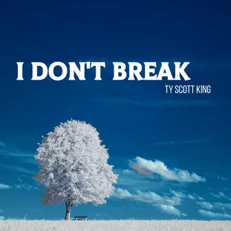 I Don't Break by Ty Scott King