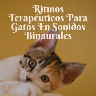 Ritmos Terapéuticos Para Gatos En Sonidos Binaurales by Canciones de gatos