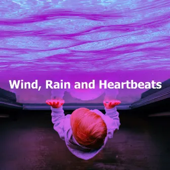 Wind, Rain and Heartbeats by The Sound of Static