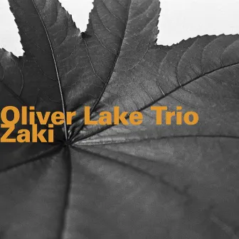 Zaki by Oliver Lake Trio